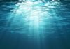 World Oceans Day, 8th June Oceans