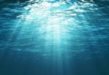 World Oceans Day, 8th June Oceans