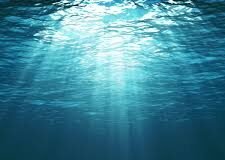 World Oceans Day, 8th June Oceans