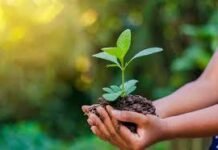 Reminiscing: Happiness of November, 1985