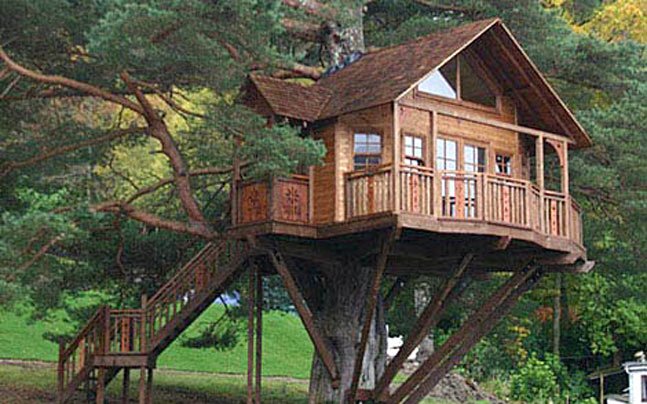 What do you mean by star hotel? Let's Discover 5 unprecedented star hotels in the world!.. 3 tree house story 647 071315064353
