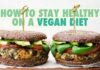 Why should you lead a vegan lifestyle vegan