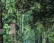 The beauty of North Bengal: 5 places to visit in the land of rivers, tea and forests! beauty