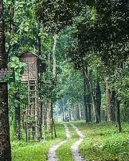 The beauty of North Bengal: 5 places to visit in the land of rivers, tea and forests! beauty