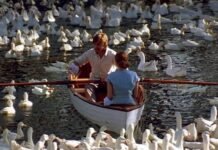 Timeless Romance Novel to begin your reading habit. Romance