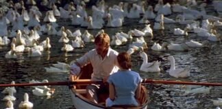 Timeless Romance Novel to begin your reading habit. Romance