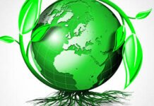 List of 4 things which are not eco friendly in nature! List of 4 things which are not eco friendly in nature!