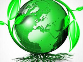 List of 4 things which are not eco friendly in nature!