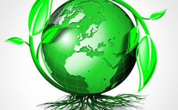 List of 4 things which are not eco friendly in nature! List of 4 things which are not eco friendly in nature!