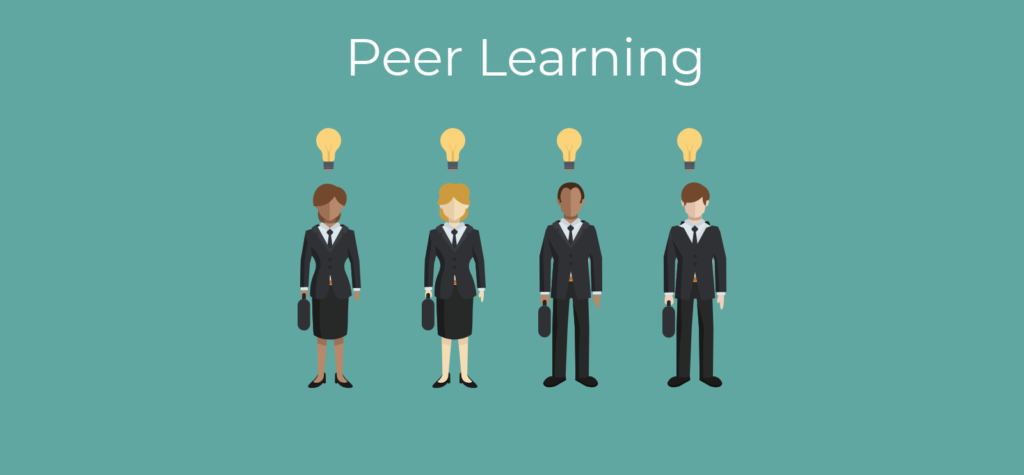 08 52 42 peer learning 1