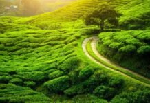 5 Weekend budget friendly weekend destinations from Kolkata. Weekend