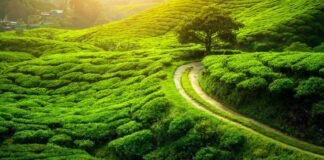 5 Weekend budget friendly weekend destinations from Kolkata. Weekend