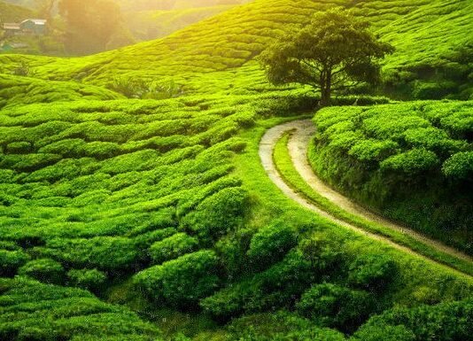 5 Weekend budget friendly weekend destinations from Kolkata. Weekend