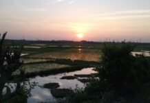 2021:Visit For Happiness : DVC KHAL : A Place To Rejuvenate One’s Body And Soul