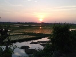 2021:Visit For Happiness : DVC KHAL : A Place To Rejuvenate One’s Body And Soul