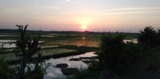 2021:Visit For Happiness : DVC KHAL : A Place To Rejuvenate One’s Body And Soul