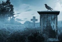 6 haunted places in Kolkata you can visit if you have guts! 6 haunted places in Kolkata you can visit if you have guts!