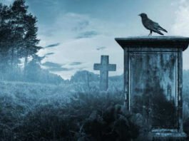 6 haunted places in Kolkata you can visit if you have guts! 6 haunted places in Kolkata you can visit if you have guts!