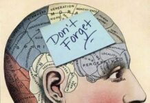 Memory is getting weak? Then learn this 7 facts which will definitely help you! Memory is getting weak? They learn this 7 facts which will definitely help you!