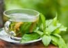 4 Mind-blowing benefits of green tea that are scientifically proved. Green tea