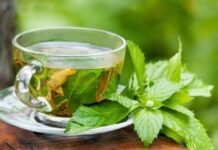 4 Mind-blowing benefits of green tea that are scientifically proved. Green tea