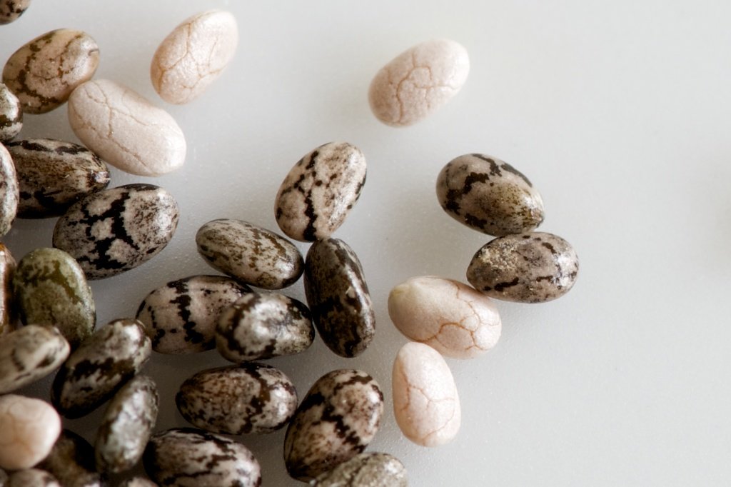 3 Amazing nutritional value of chia seeds that many are not aware of. 2