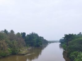 Visit Of December 2021: Kuntighat Wooden Hanging Bridge : Wonder Of Technology