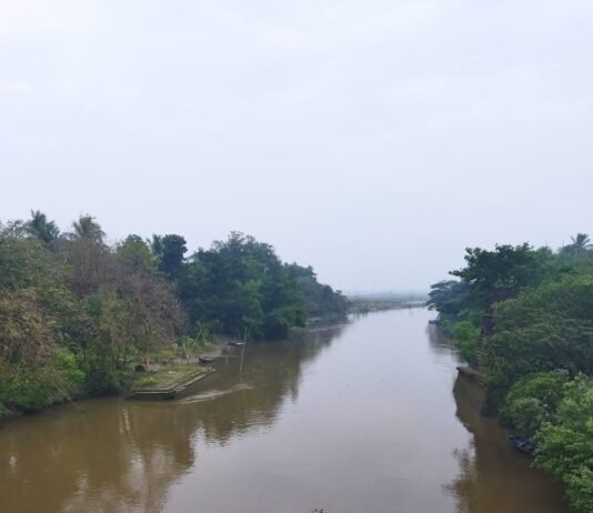 Visit Of December 2021: Kuntighat Wooden Hanging Bridge : Wonder Of Technology