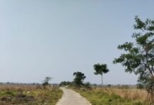 Visit December 2021:Singur: A Lost Paradise