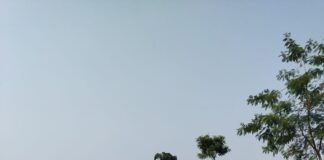 Visit December 2021:Singur: A Lost Paradise