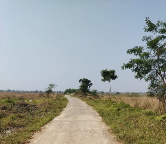 Visit December 2021:Singur: A Lost Paradise