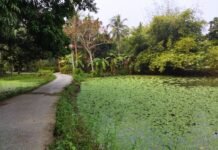 Year ending December 2021, visit: Janai-Baksha: Remembrances of glorious past of royal families