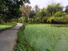 Year ending December 2021, visit: Janai-Baksha: Remembrances of glorious past of royal families