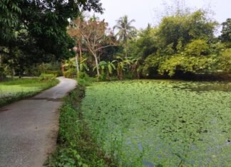 Year ending December 2021, visit: Janai-Baksha: Remembrances of glorious past of royal families