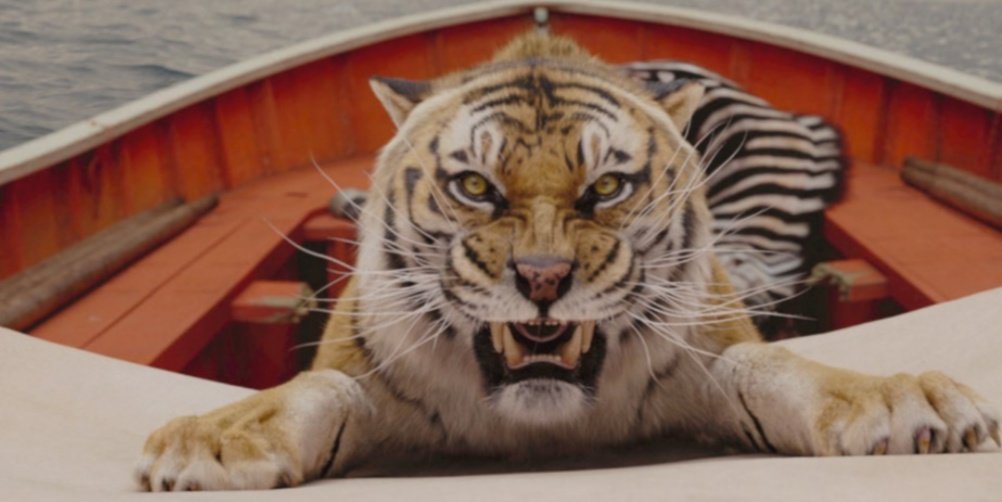 Life Of Pi amazing movie review and novel summery. 2 IMG 20220103 092300