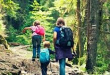 Stress: How nature helps us to fight stress: Wonderful nature: 2022