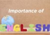 The Importance of English Language : 11 Reasons for Learning English language. Language