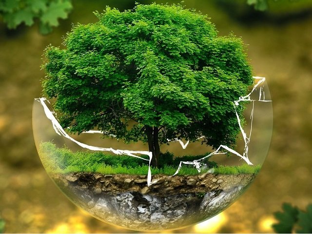 Few steps towards cleaner and greener India. 3 World environment day 2021 theme host country schemes towards clean and green India 1