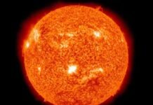 The Sun:-Solar Hedgehog. What it is revealing? Breathtaking details about Sun in 2022.