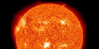 The Sun:-Solar Hedgehog. What it is revealing? Breathtaking details about Sun in 2022.