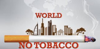 World No Tobacco Day : What is the reason behind of celebrating this day on an International level every year? Read on to know World No Tobacco Day : What is the reason behind of celebrating this day on an International level every year? Read on to know