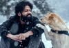 777 Charlie Movie Review : An adorable relationship between the dog and his owner 777 Charlie Movie Review : An adorable relationship between the dog and his owner
