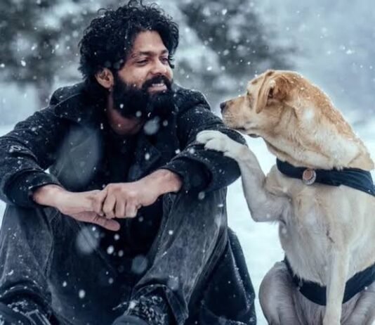 777 Charlie Movie Review : An adorable relationship between the dog and his owner 777 Charlie Movie Review : An adorable relationship between the dog and his owner