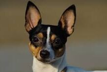 I Lost My Lucky: A tragic story of 1974.