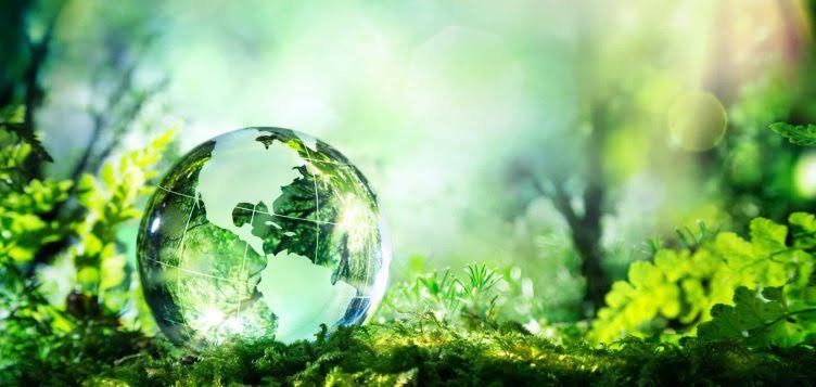 World Environment Day 2022 : Why It Is Celebrated Every Year? Learn About The History Behind It.. 4 images 3 2