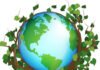 World Environment Day 2022 : Why It Is Celebrated Every Year? Learn About The History Behind It.. World Environment Day 2022 : Why It Is Celebrated Every Year? Learn About The History Behind It..