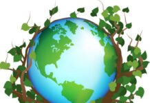 World Environment Day 2022 : Why It Is Celebrated Every Year? Learn About The History Behind It.. World Environment Day 2022 : Why It Is Celebrated Every Year? Learn About The History Behind It..