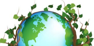 World Environment Day 2022 : Why It Is Celebrated Every Year? Learn About The History Behind It.. World Environment Day 2022 : Why It Is Celebrated Every Year? Learn About The History Behind It..