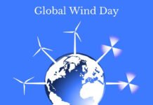 World Wind Day 2022 : Learn About Some Unknown Information Regarding This Day World Wind Day 2022 : Learn About Some Unknown Information Regarding This Day