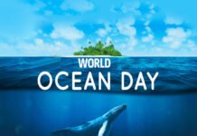 World Oceans Day : Do You Know Why World Oceans Day Is Celebrated Every Year On 8th June? Read On To Know World Oceans Day : Do You Know Why World Oceans Day Is Celebrated Every Year On 8th June? Read On To Know